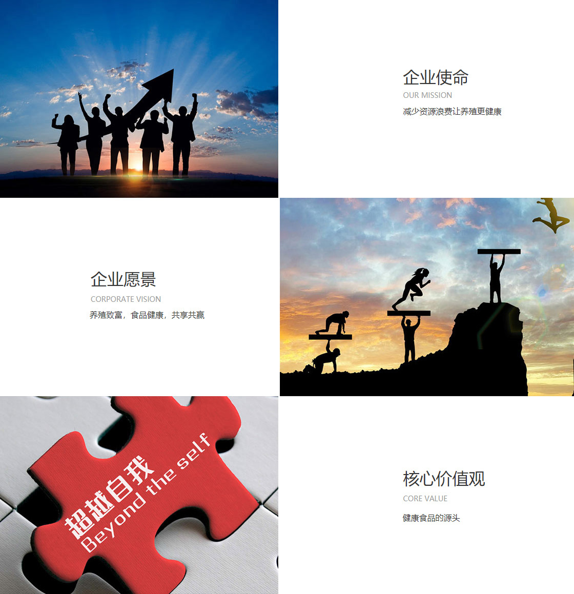 雷竞技登录(图1)